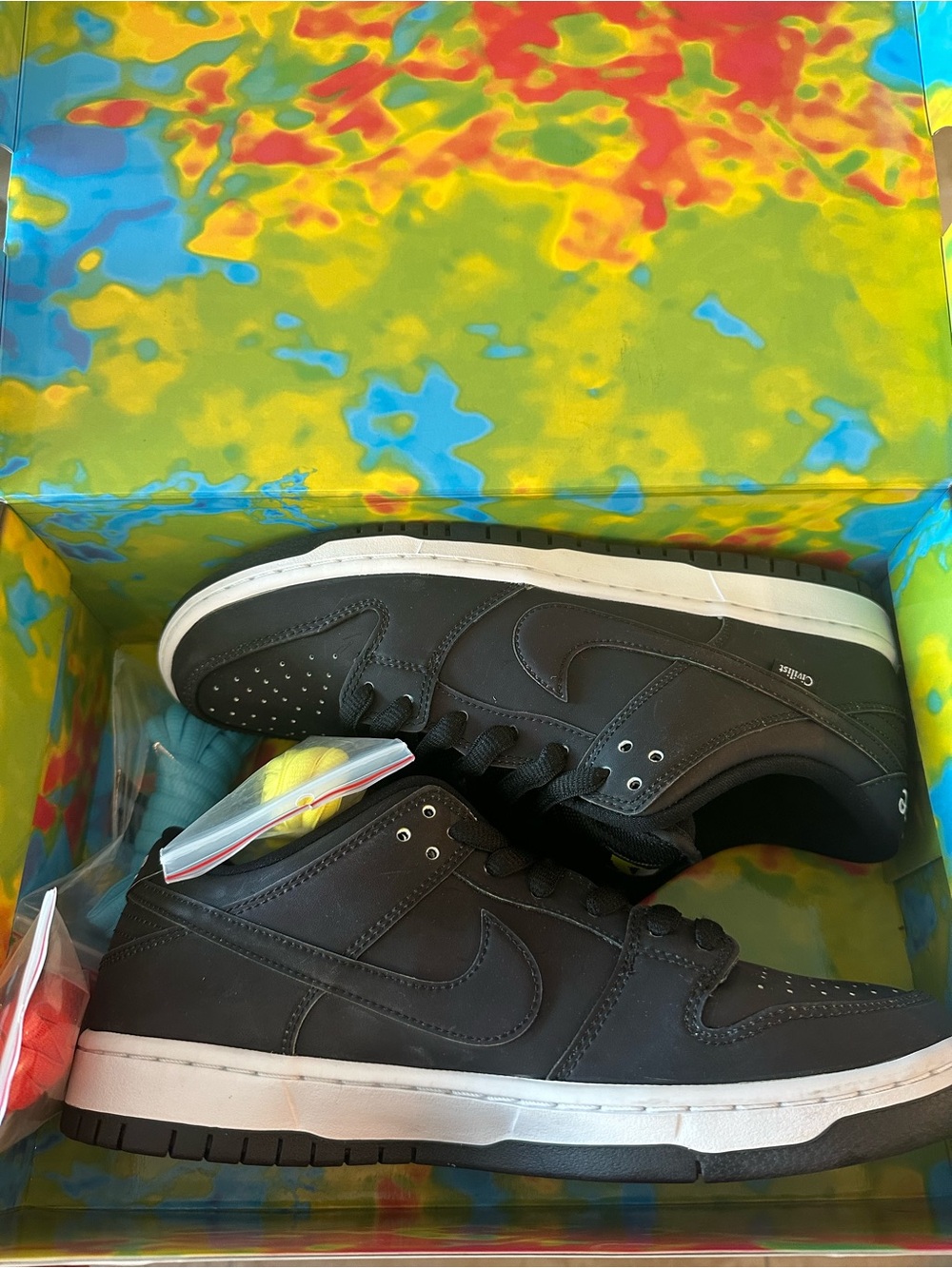 Nike Dunk SB “Civilist” w/ Special Box